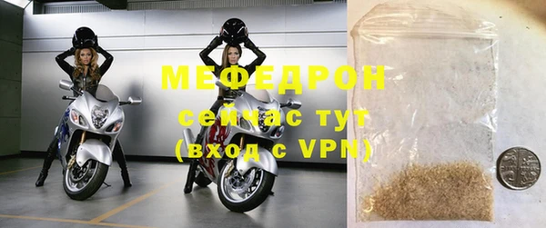 индика Гусев