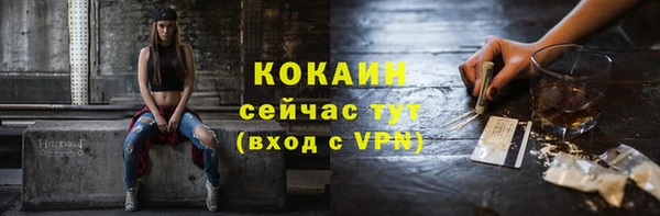 молекула духа Гусиноозёрск