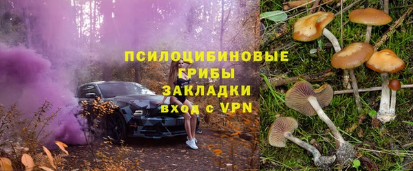 кристаллы Дмитриев