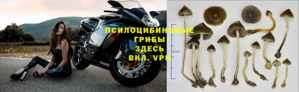 ешки Дмитровск