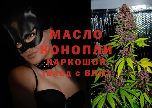 индика Гусев