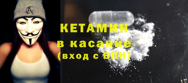 индика Гусев