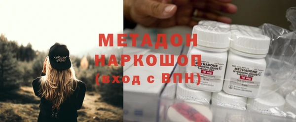индика Гусев