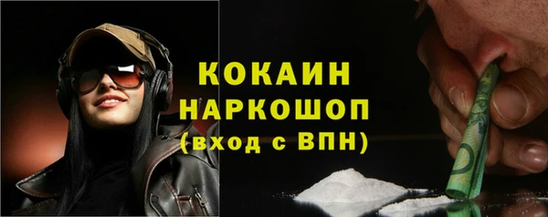 индика Гусев