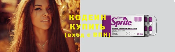индика Гусев