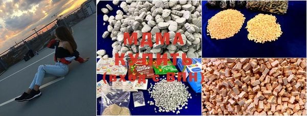 индика Гусев