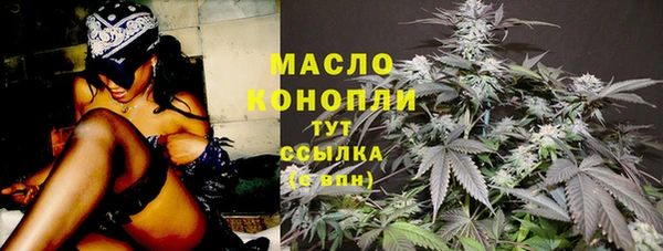 мяу мяу мука Гусь-Хрустальный