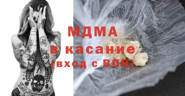 индика Гусев