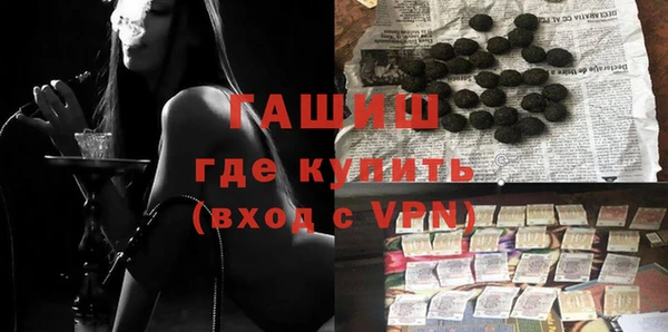 индика Гусев