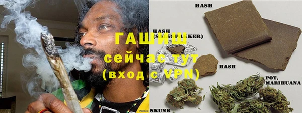 молекула духа Гусиноозёрск