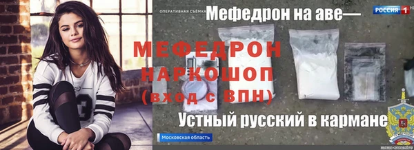индика Гусев
