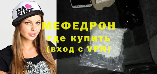 индика Гусев
