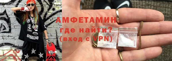 индика Гусев
