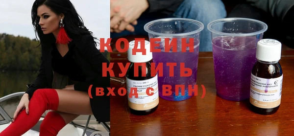 индика Гусев