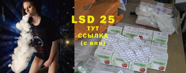 индика Гусев