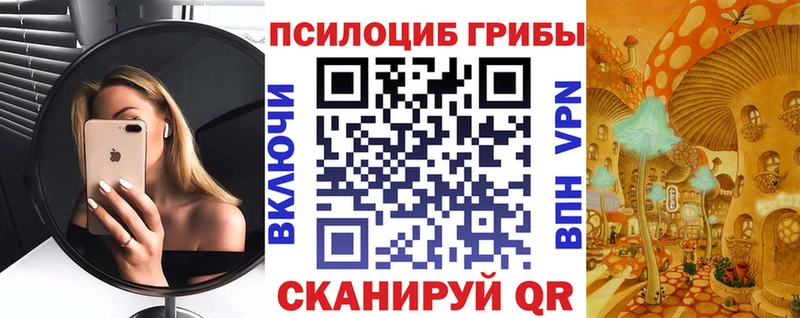 Купить  Аша  Псилоцибиновые грибы MAGIC MUSHROOMS 