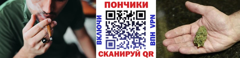 Бошки марихуана гибрид  Купить  Аша 